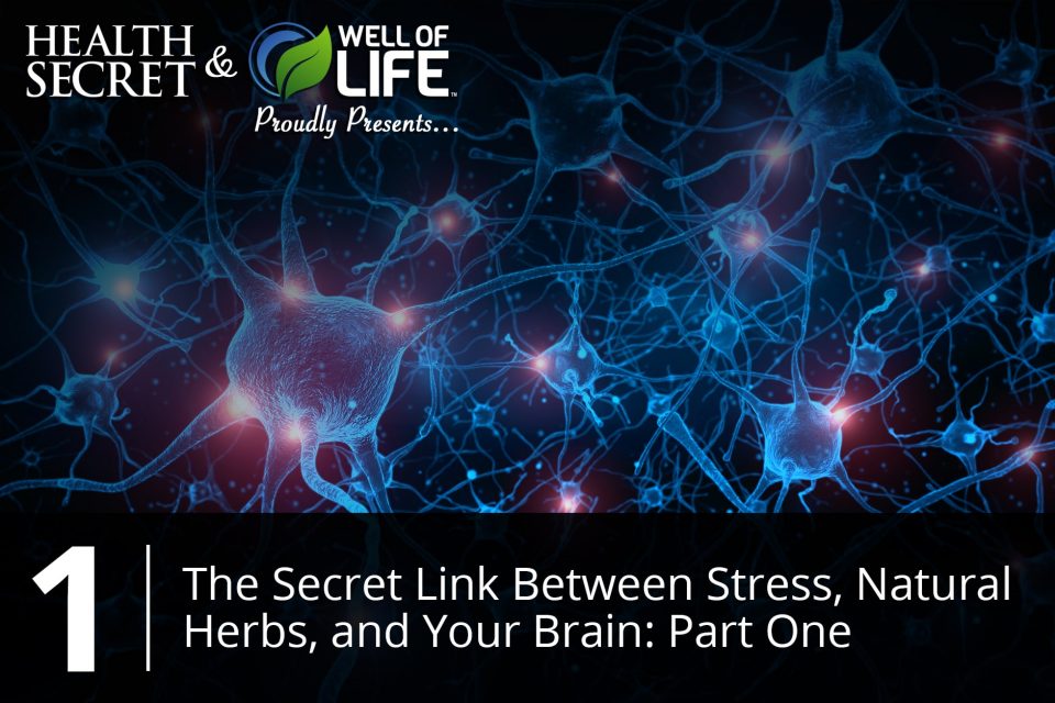 NMS Mini-Episode 4 Part 1